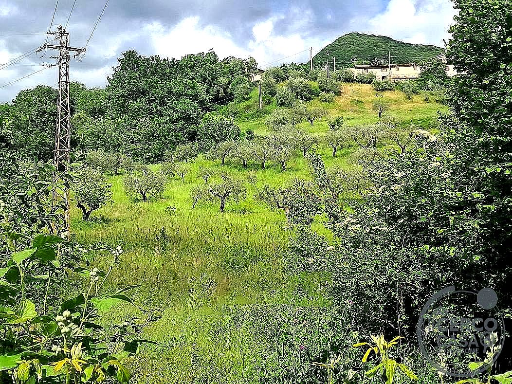 TERRENO AGRICOLO VENDITA SPOLETO