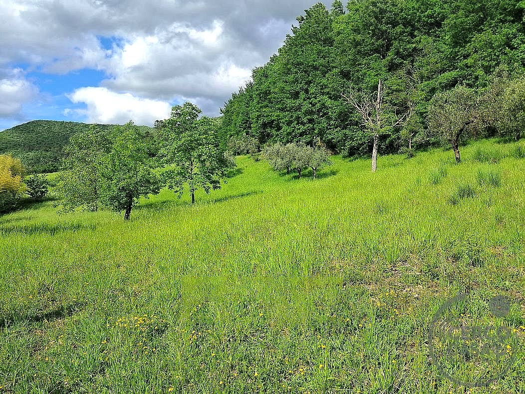 RUSTICO - CASALE VENDITA SPOLETO · foto 2
