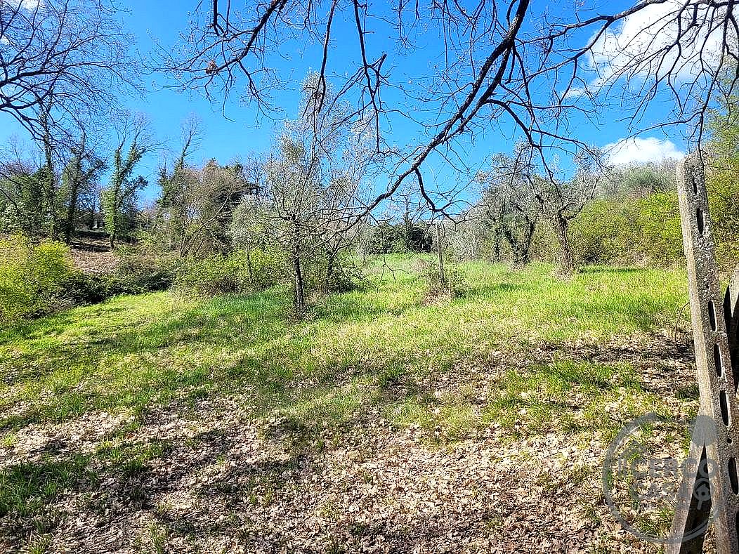 TERRENO EDIFICABILE VENDITA NARNI NARNI SCALO · foto 3