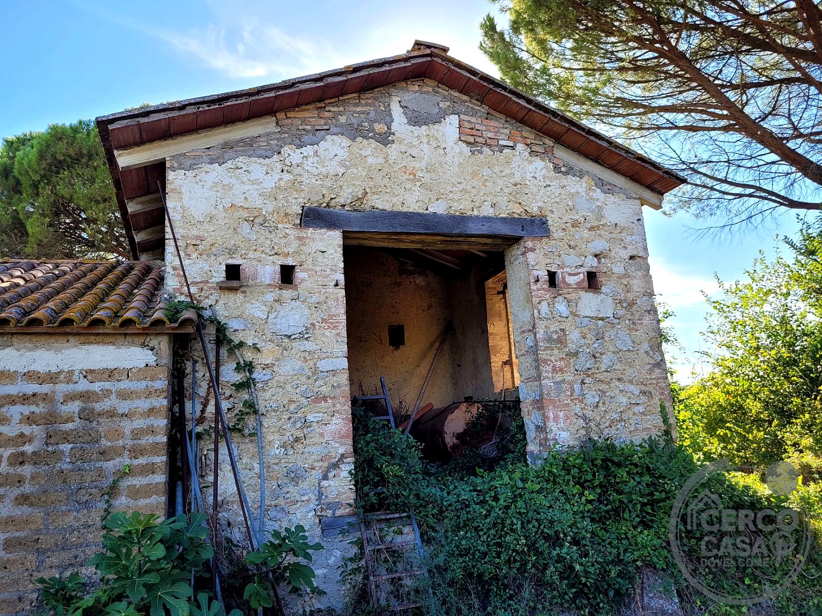 CIELO - TERRA VENDITA NARNI · foto 15