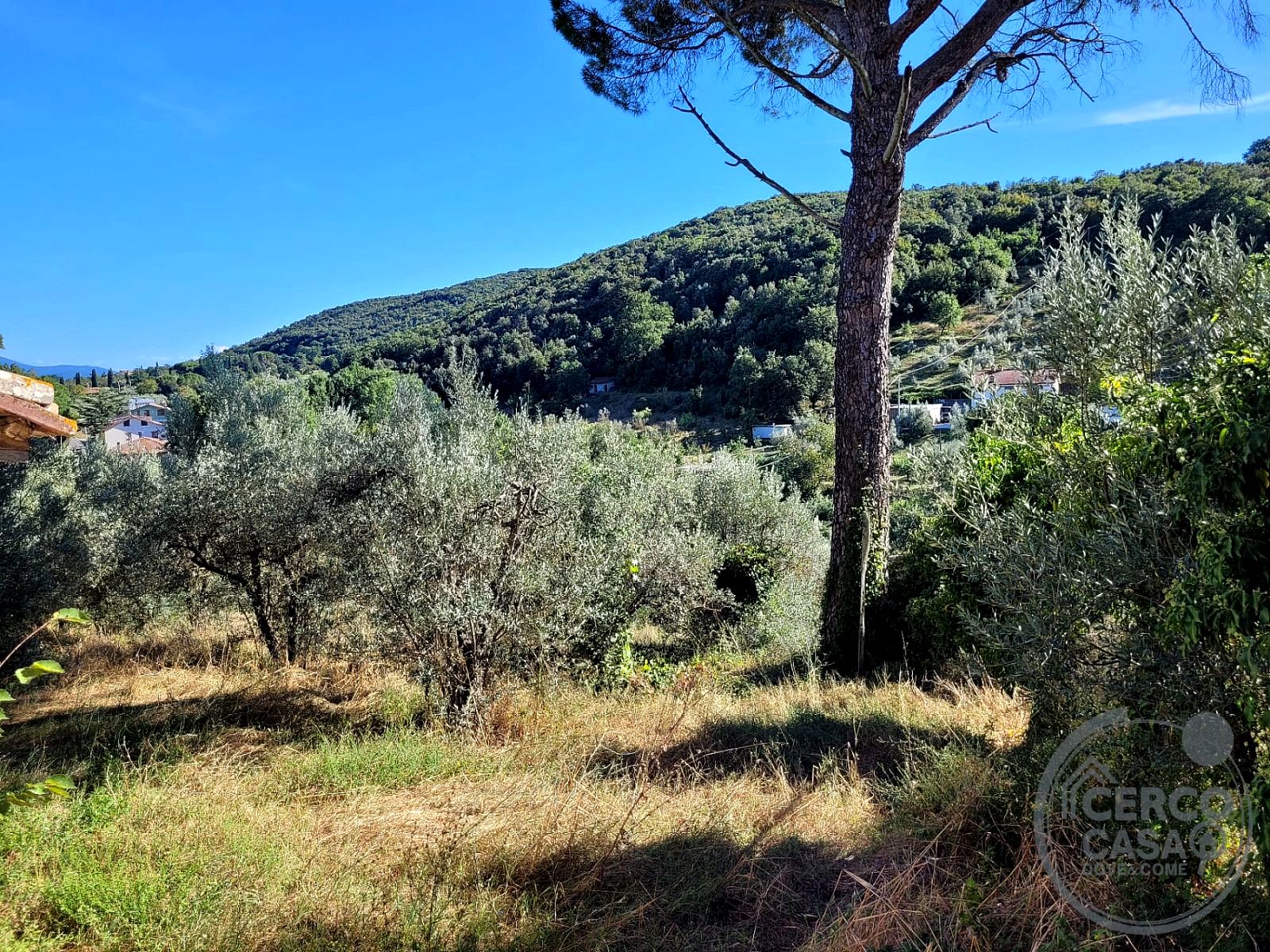 CIELO - TERRA VENDITA NARNI · foto 17