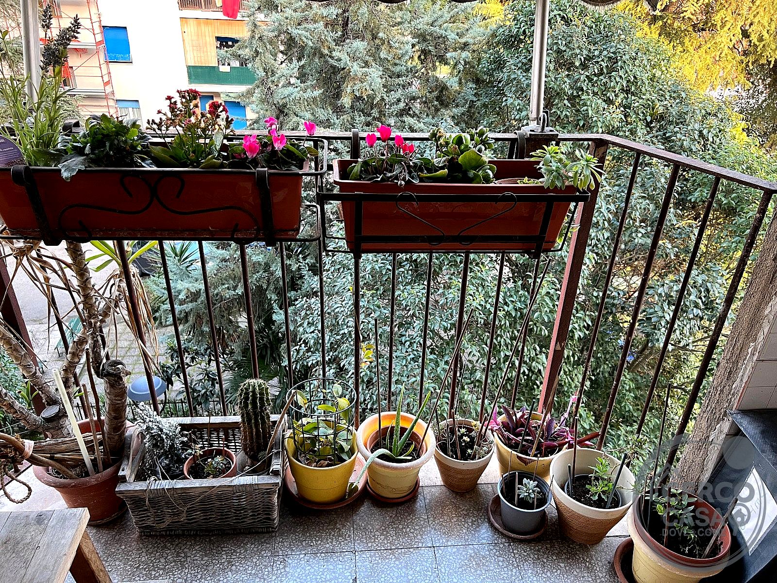 APPARTAMENTO VENDITA TERNI · foto 9