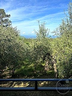 CASA INDIPENDENTE VENDITA NARNI - Narni