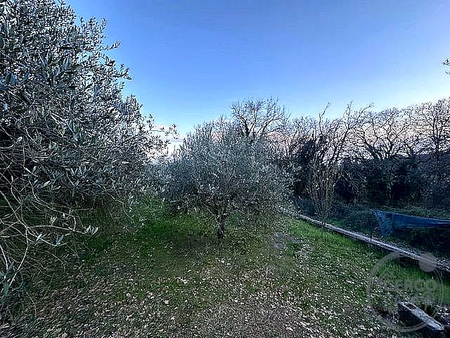 TERRENO EDIFICABILE VENDITA PERUGIA OLMO · foto 2
