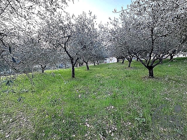 TERRENO EDIFICABILE VENDITA PERUGIA OLMO - Ferro di Cavallo, Santa Lucia, Olmo, Perugia