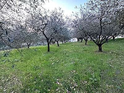 APPARTAMENTO VENDITA COLLAZZONE · foto 26