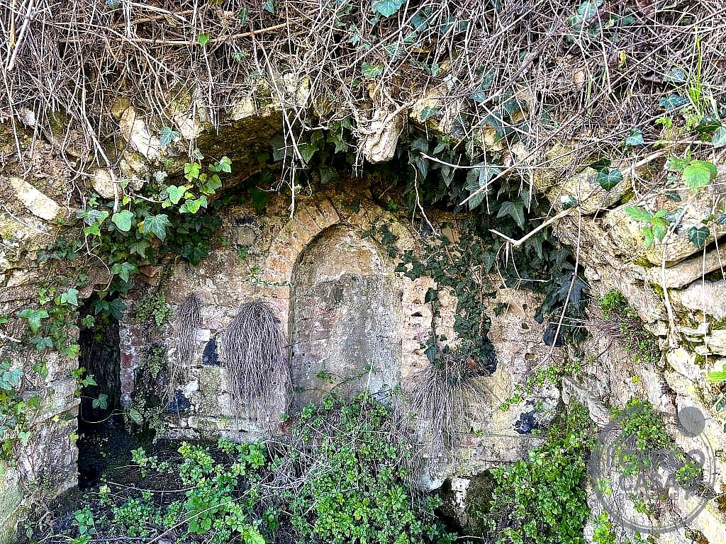 RUSTICO - CASALE VENDITA PIEGARO · foto 4