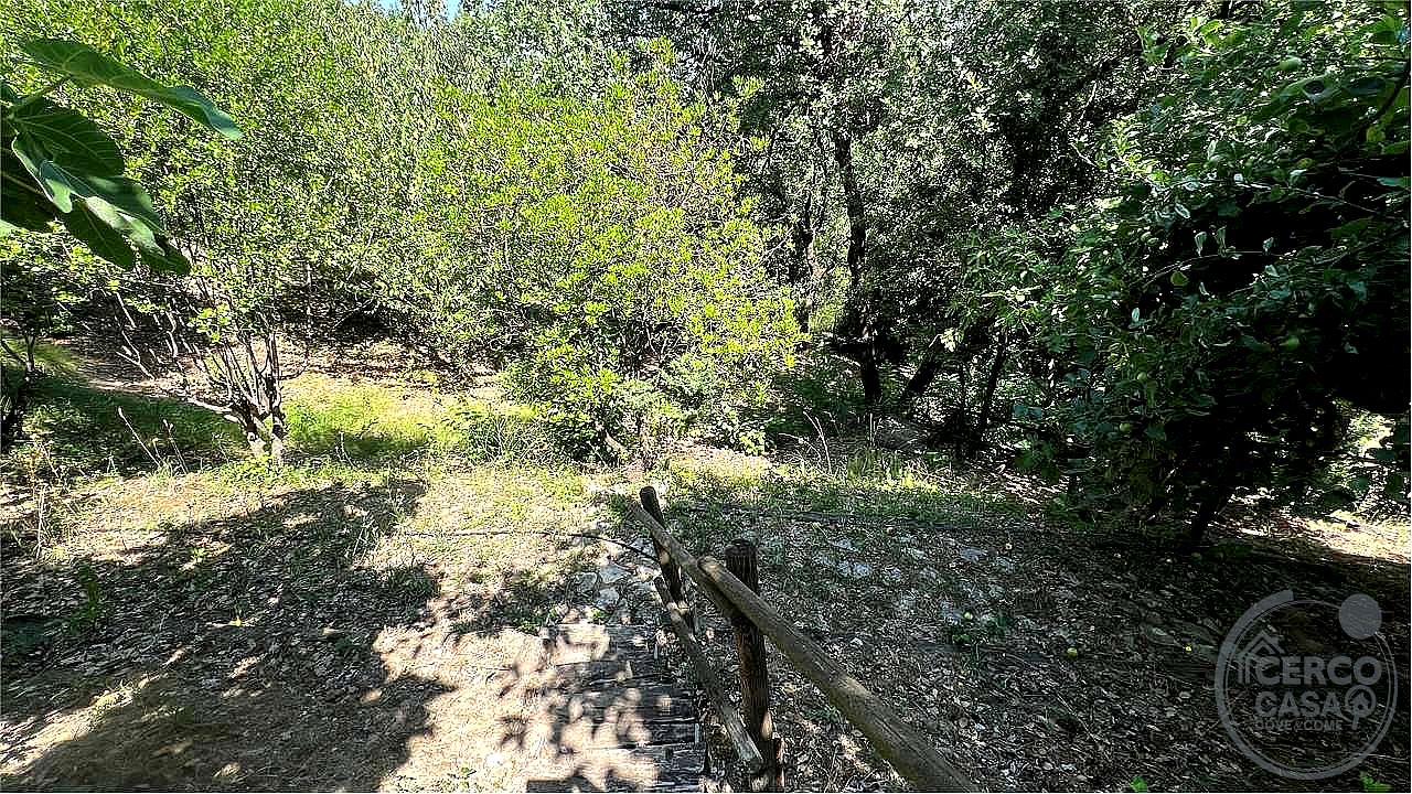 4 O PIÙ LOCALI VENDITA CORCIANO SAN MARIANO · foto 5