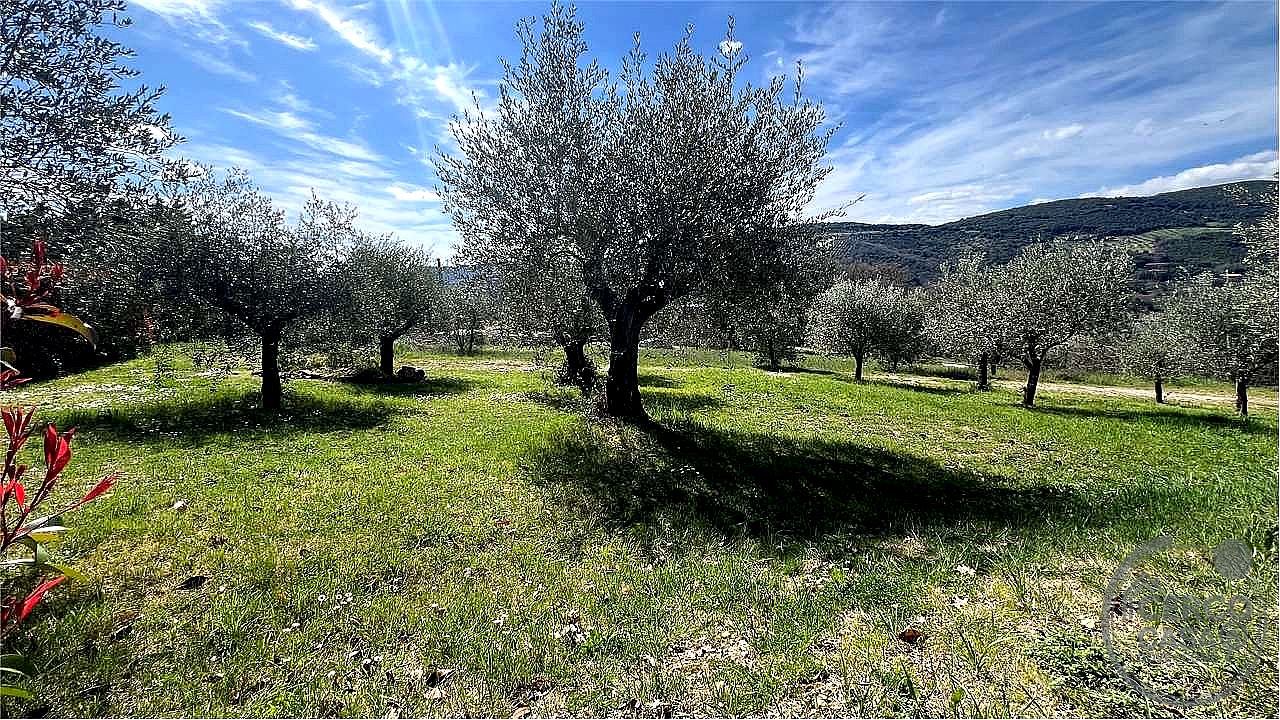 TERRENO EDIFICABILE VENDITA PERUGIA SANTA LUCIA · foto 15
