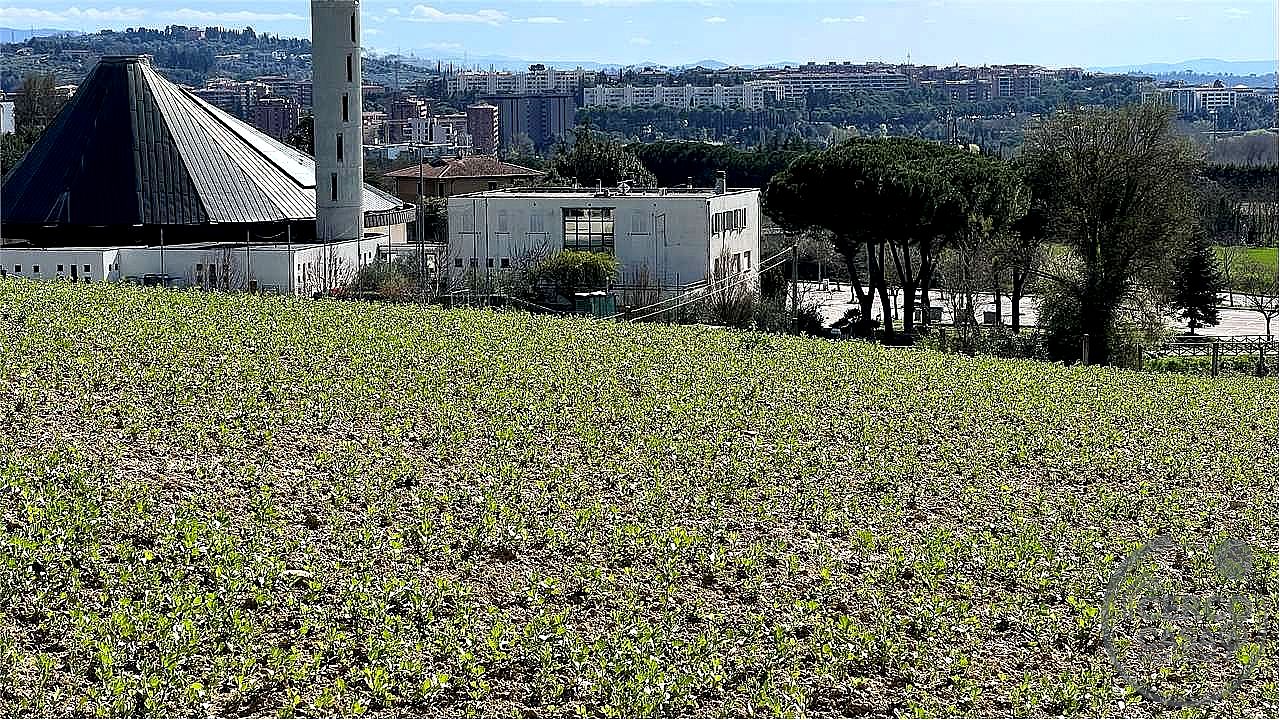 TERRENO EDIFICABILE VENDITA PERUGIA SANTA LUCIA · foto 16