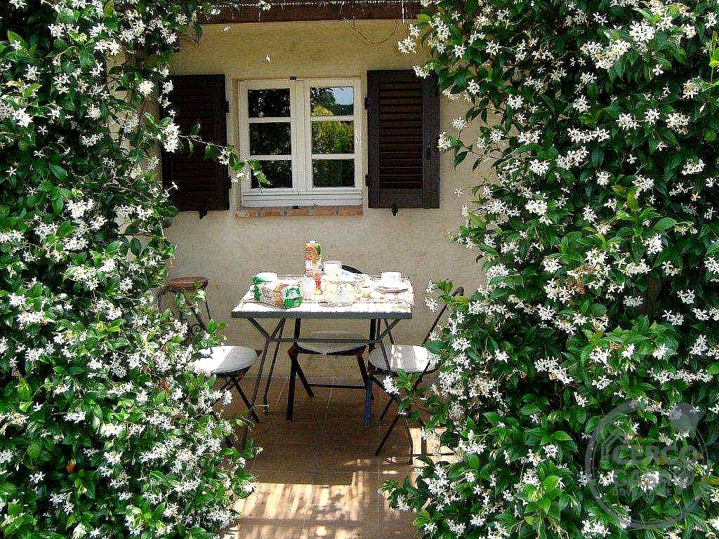 VILLA VENDITA MARSCIANO BADIOLA · foto 19