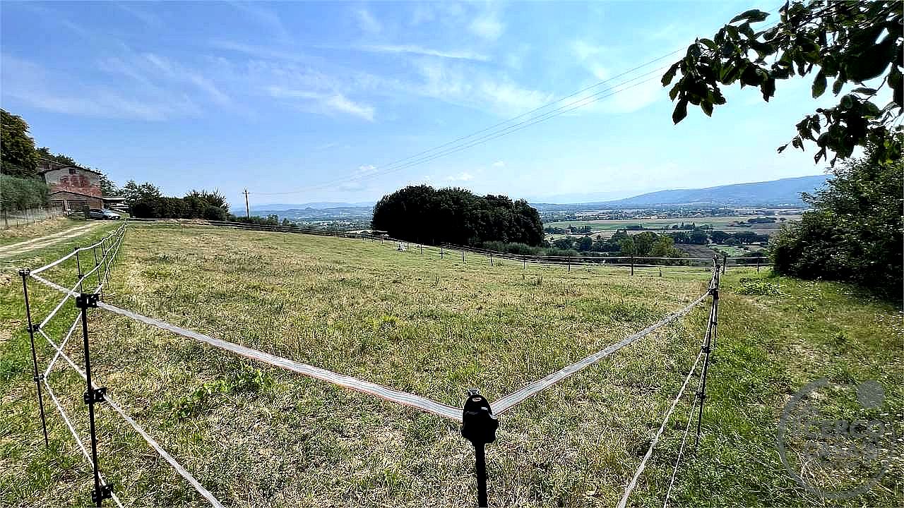 RUSTICO - CASALE VENDITA PERUGIA · foto 4