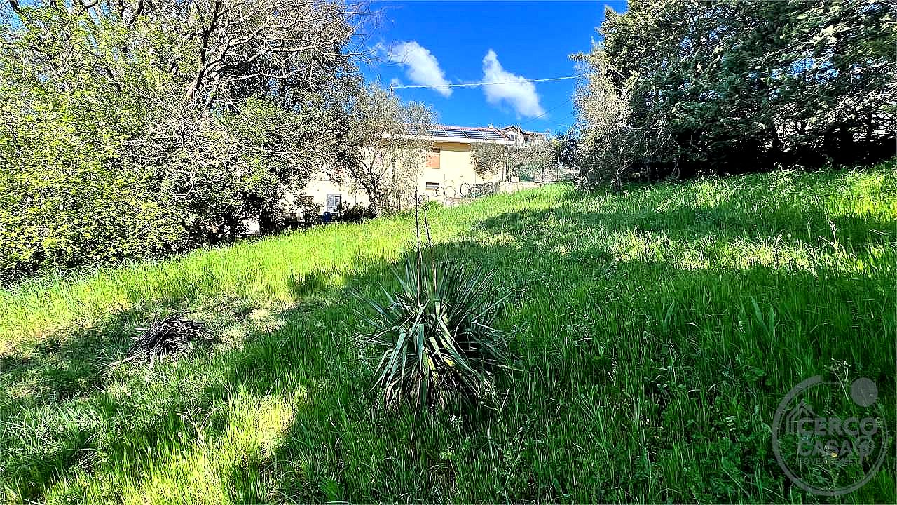 TERRENO EDIFICABILE VENDITA CORCIANO CAPOCAVALLO · foto 4