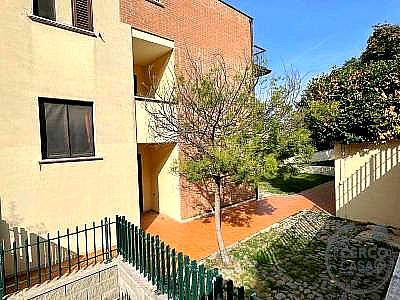 4 O PIÙ LOCALI VENDITA TORGIANO · foto 38