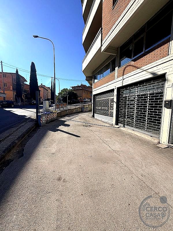 NEGOZIO VENDITA PERUGIA FERRO DI CAVALLO · foto 7