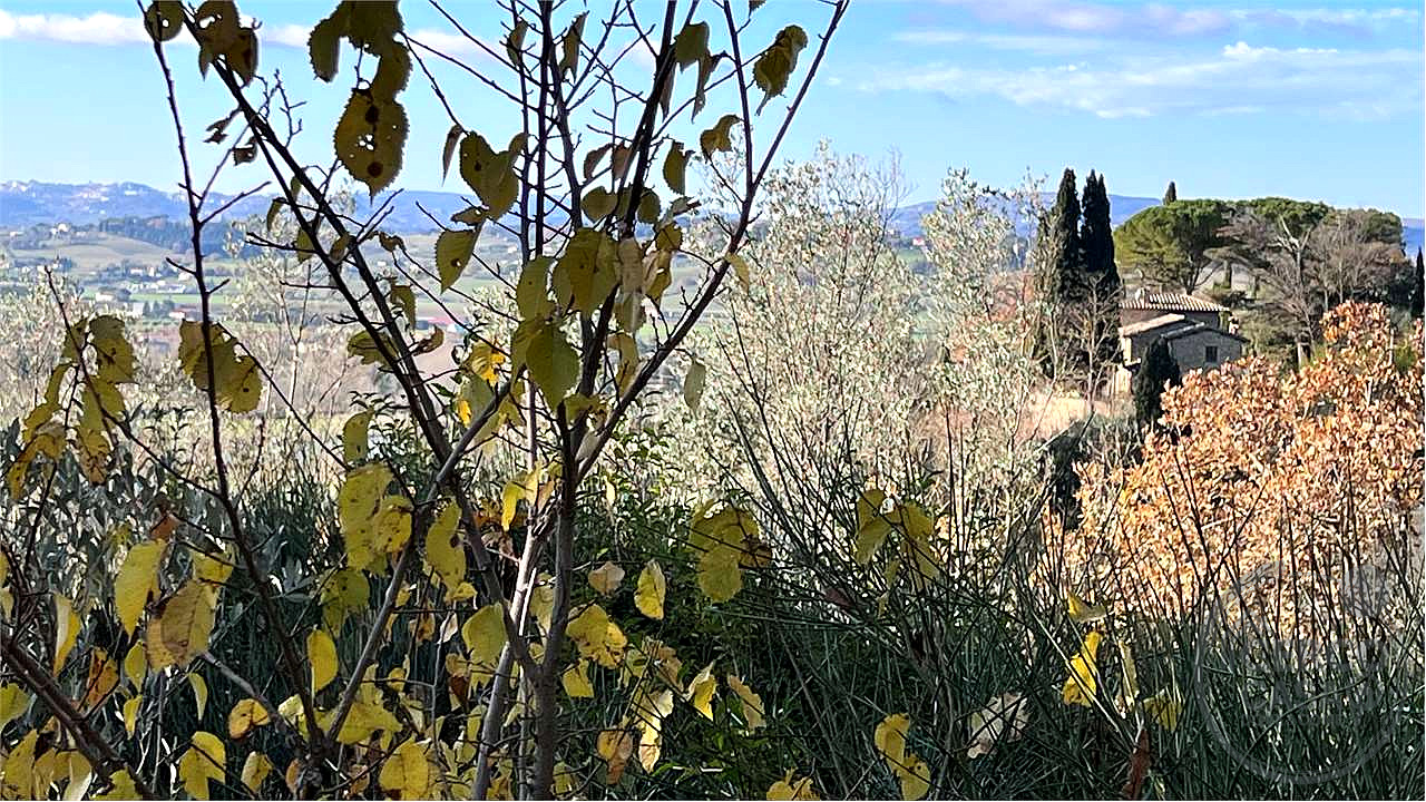 ANNESSO DA RECUPERARE IN COMUNE DI ASSISI