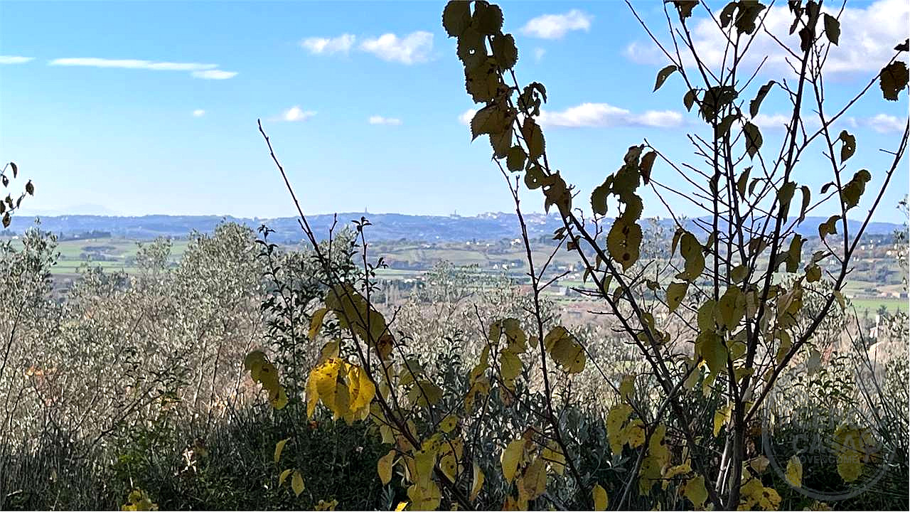 ANNESSO DA RECUPERARE IN COMUNE DI ASSISI