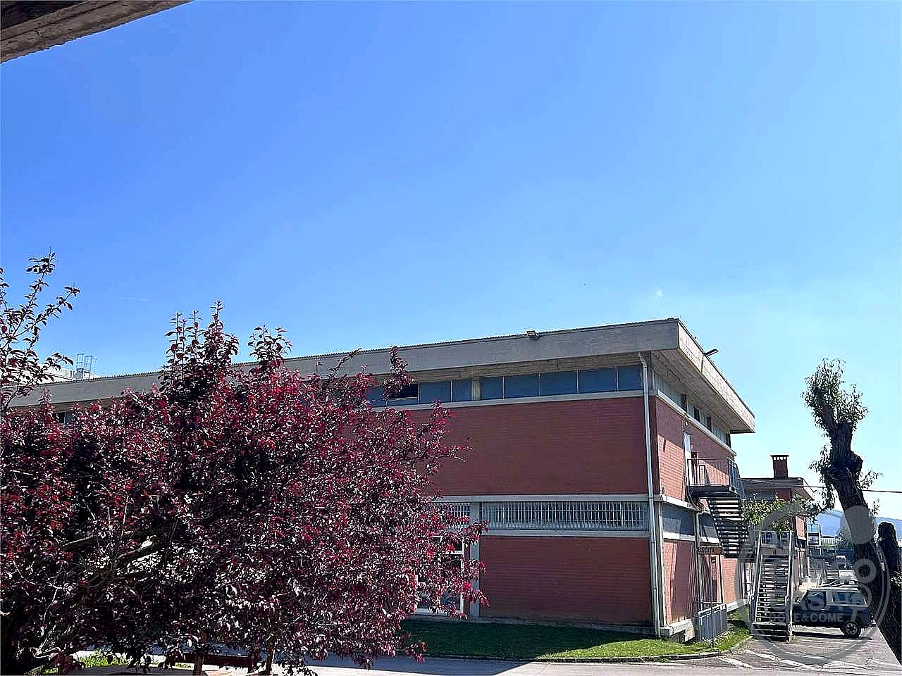 MAGAZZINO AFFITTO MAGIONE · foto 2