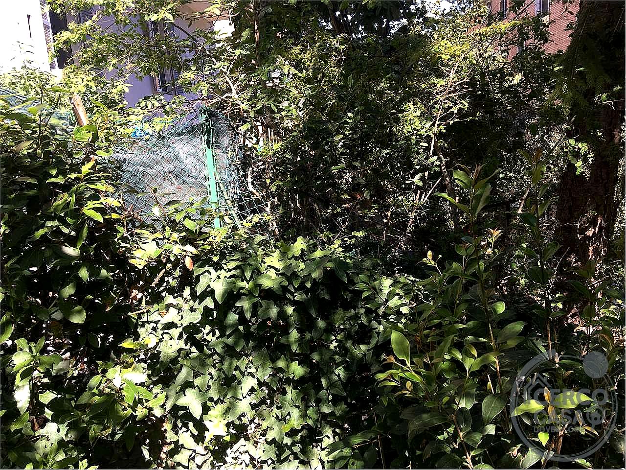 BILOCALE VENDITA PERUGIA MONTELUCE · foto 3