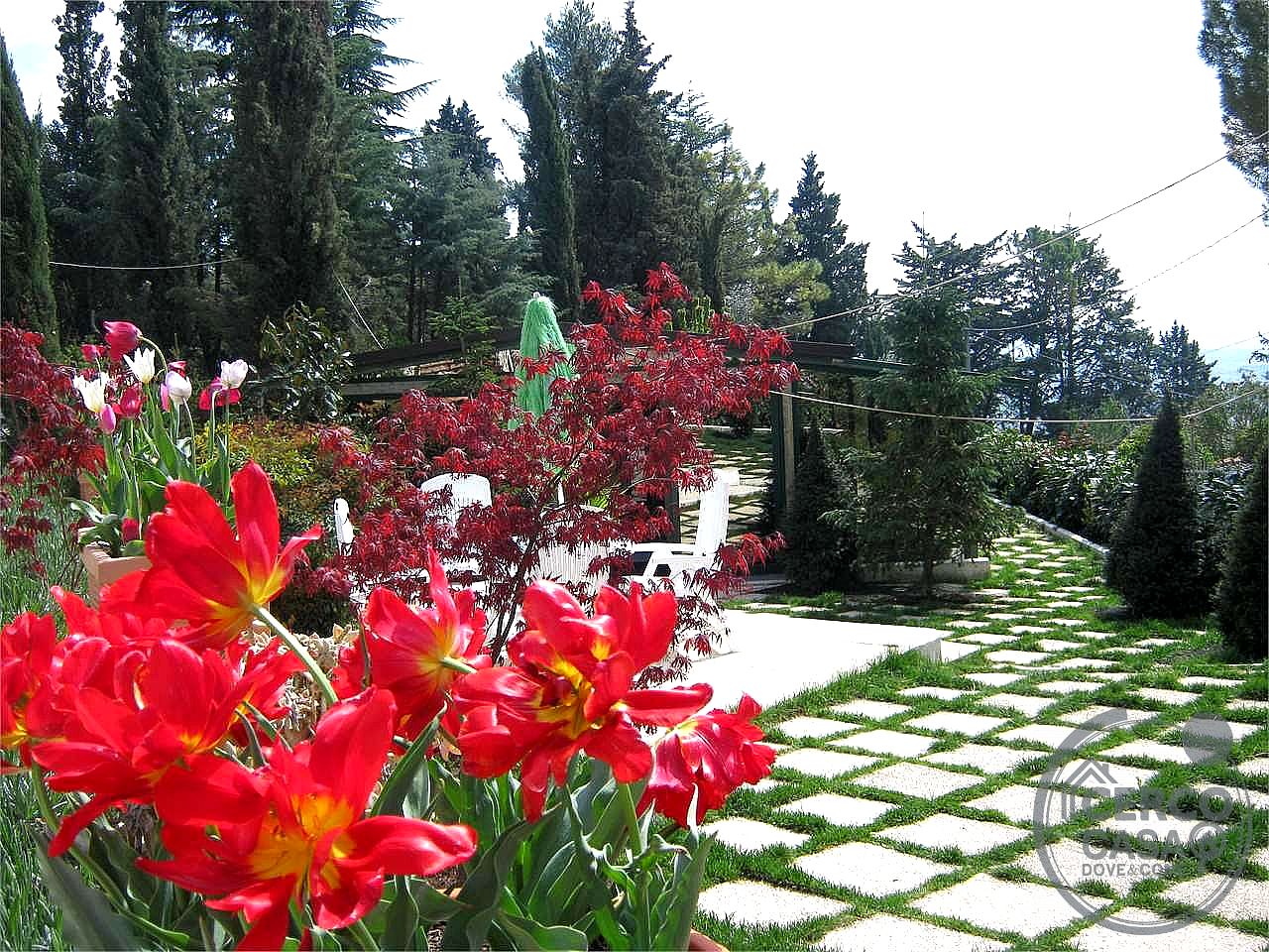 VILLA VENDITA PERUGIA · foto 13
