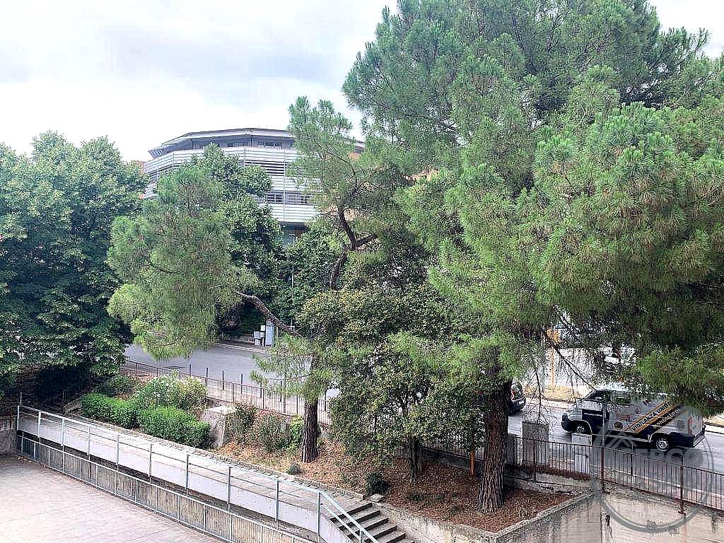 4 O PIÙ LOCALI VENDITA PERUGIA · foto 8