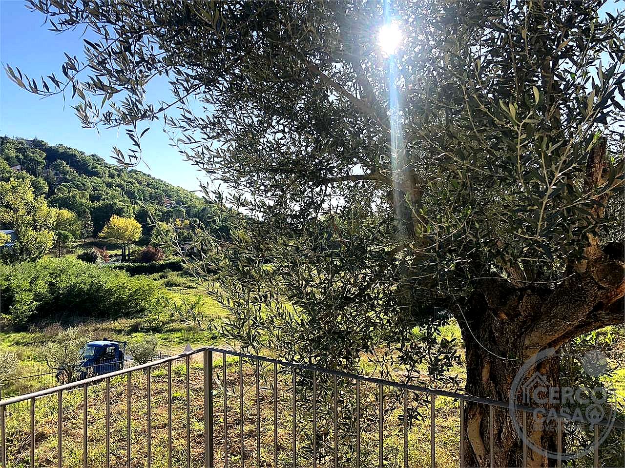 BILOCALE AFFITTO PERUGIA · foto 4