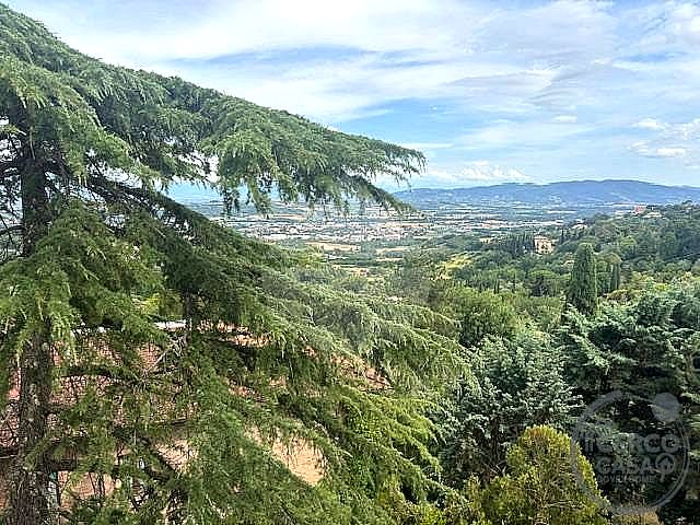 APPARTAMENTO AFFITTO PERUGIA PALLOTTA · foto 4