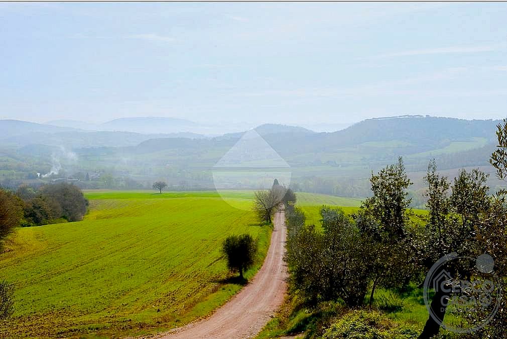 AZIENDA AGRICOLA VENDITA MAGIONE · foto 1