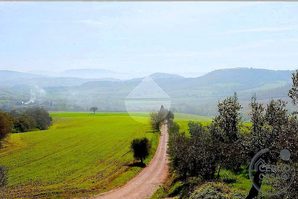 AZIENDA AGRICOLA VENDITA MAGIONE