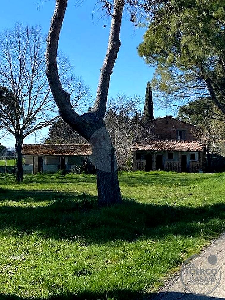 RUSTICO - CASALE VENDITA MARSCIANO BADIOLA · foto 5