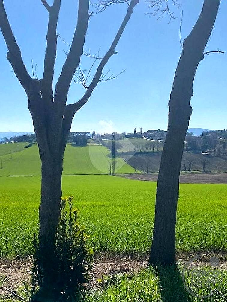 RUSTICO - CASALE VENDITA MARSCIANO BADIOLA · foto 8