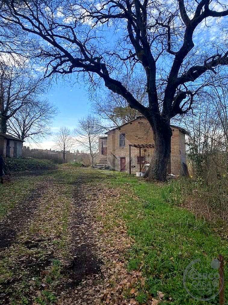 RUSTICO - CASALE VENDITA MARSCIANO BADIOLA · foto 3