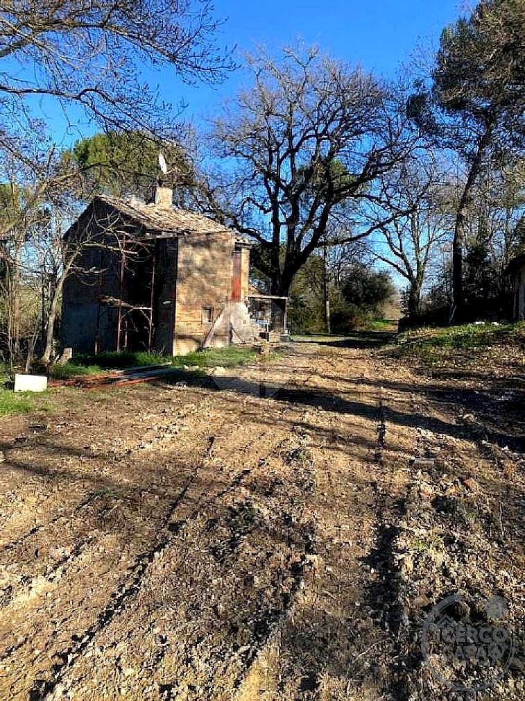 RUSTICO - CASALE VENDITA MARSCIANO BADIOLA · foto 5