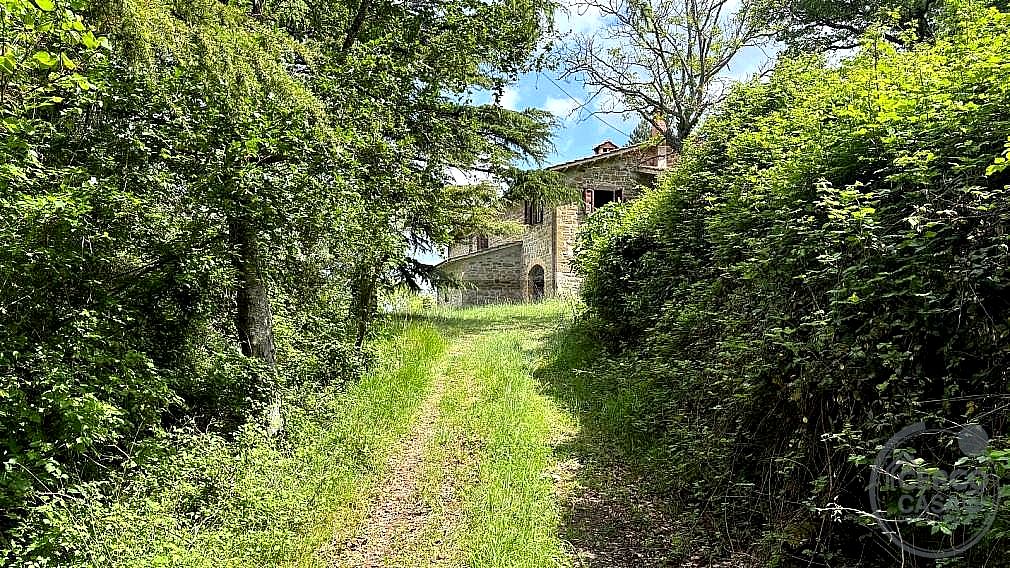 RUSTICO - CASALE VENDITA VALFABBRICA · foto 10