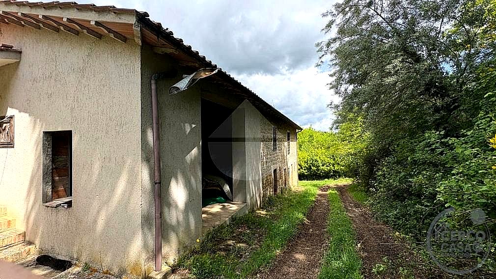 RUSTICO - CASALE VENDITA VALFABBRICA · foto 8