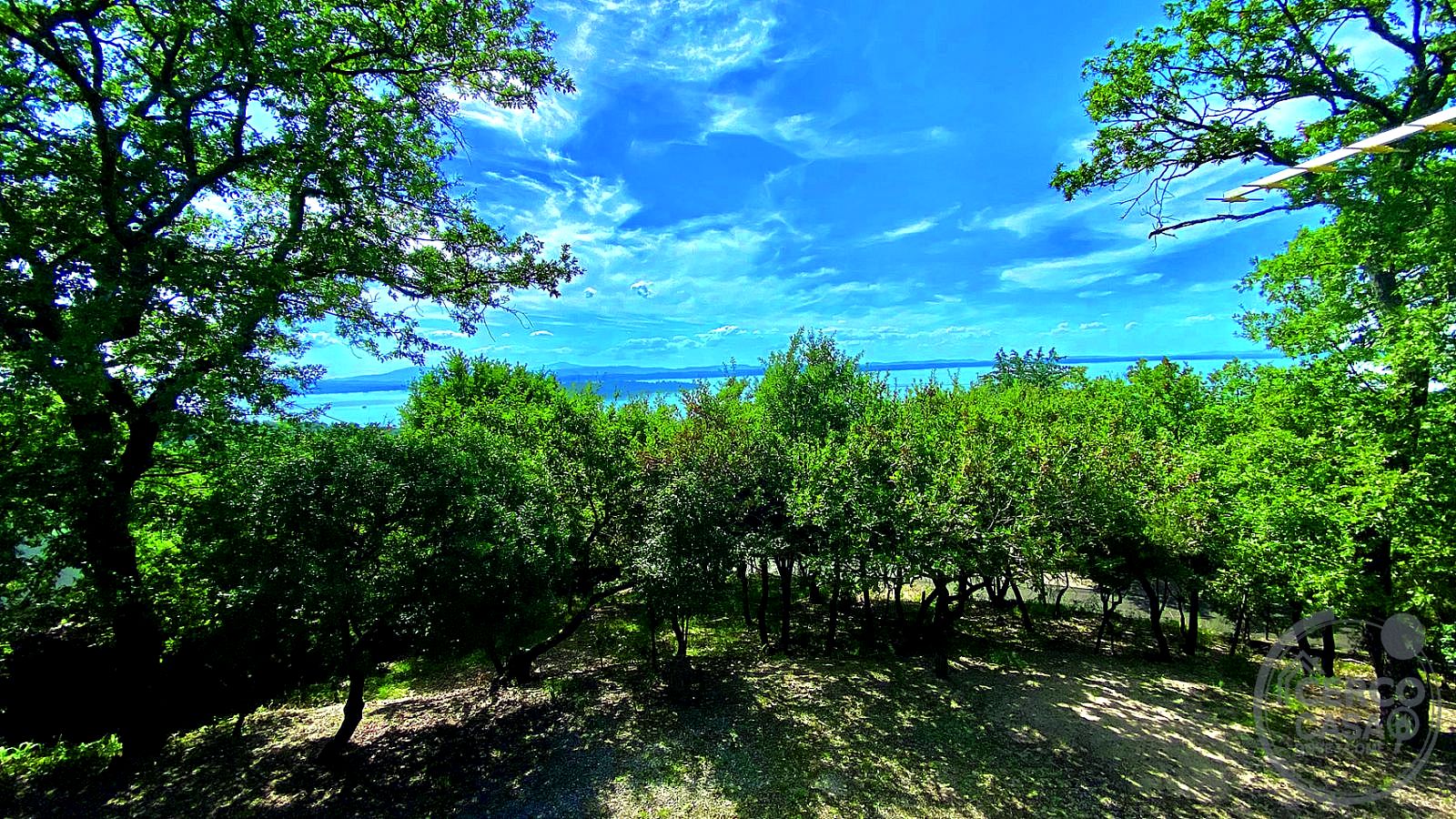 VILLA VENDITA MAGIONE SAN FELICIANO · foto 3