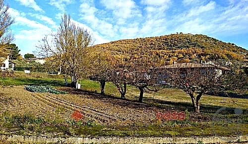 QUADRILOCALE VENDITA MAGIONE · foto 24
