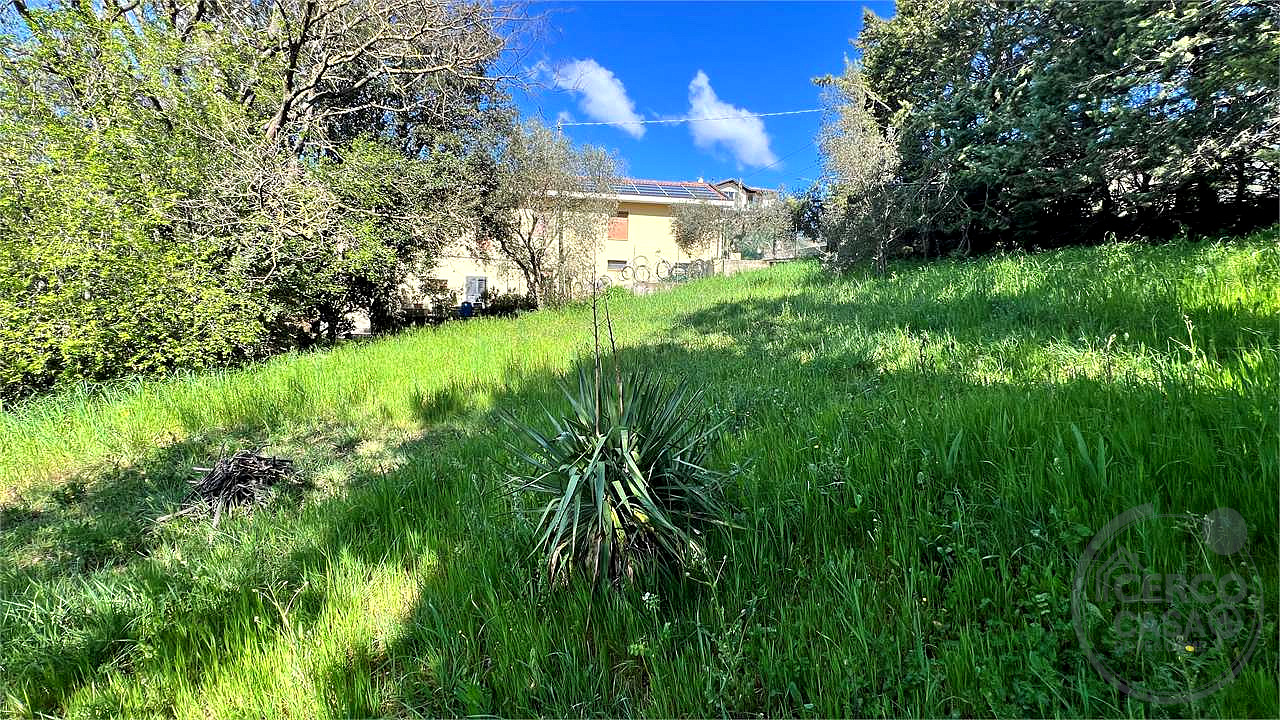 Capocavallo