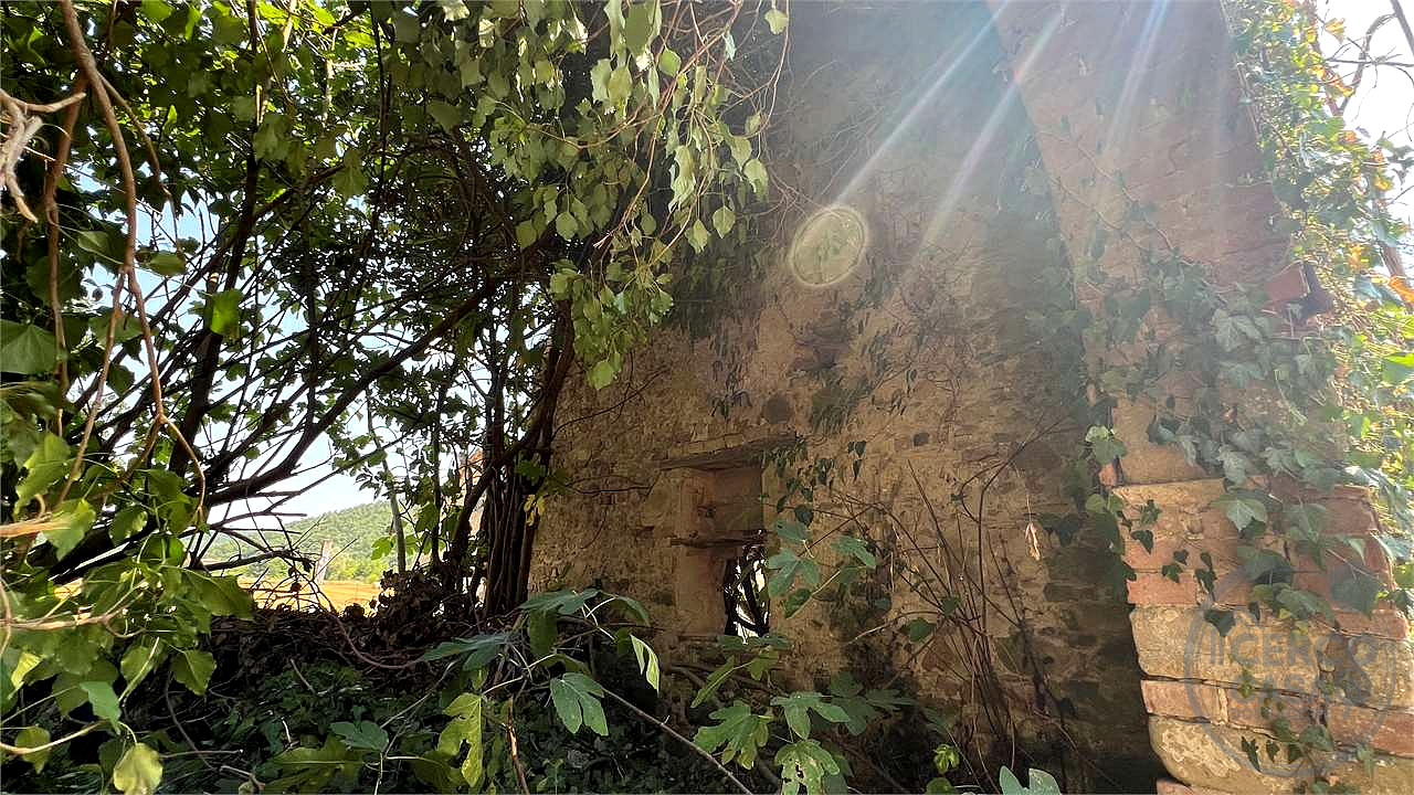 CENERENTE - LA CASA SUL RUSCELLO