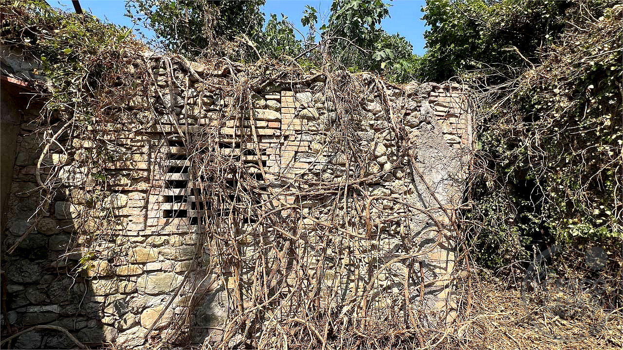 CENERENTE - LA CASA SUL RUSCELLO