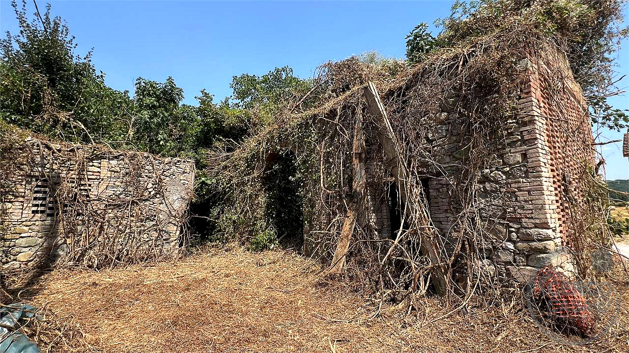 CENERENTE - LA CASA SUL RUSCELLO