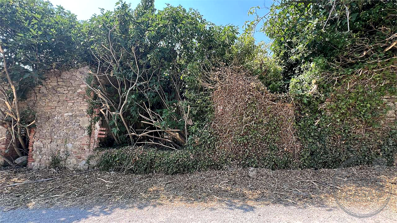CENERENTE - LA CASA SUL RUSCELLO