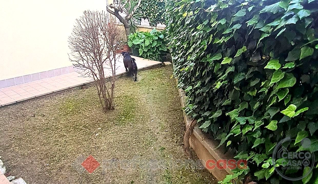 QUADRILOCALE VENDITA TORGIANO · foto 2