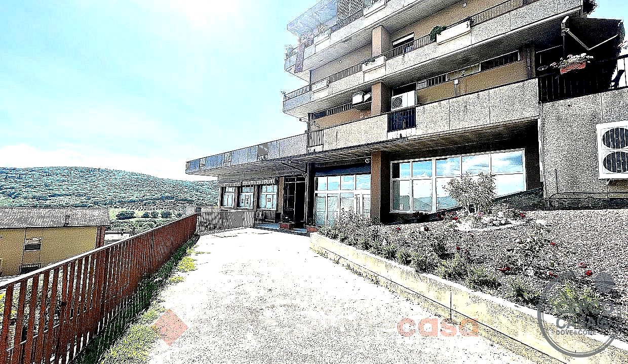 MAGAZZINO VENDITA MAGIONE