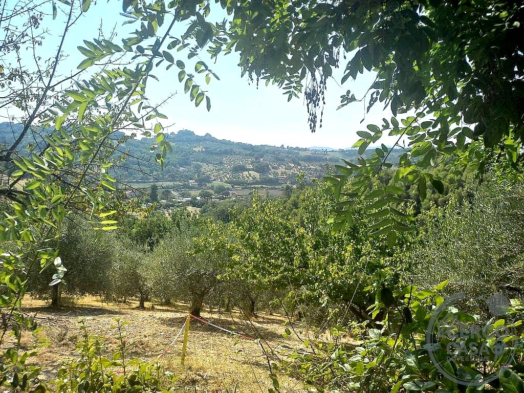 RUSTICO - CASALE VENDITA TERNI SAN ROCCO · foto 3