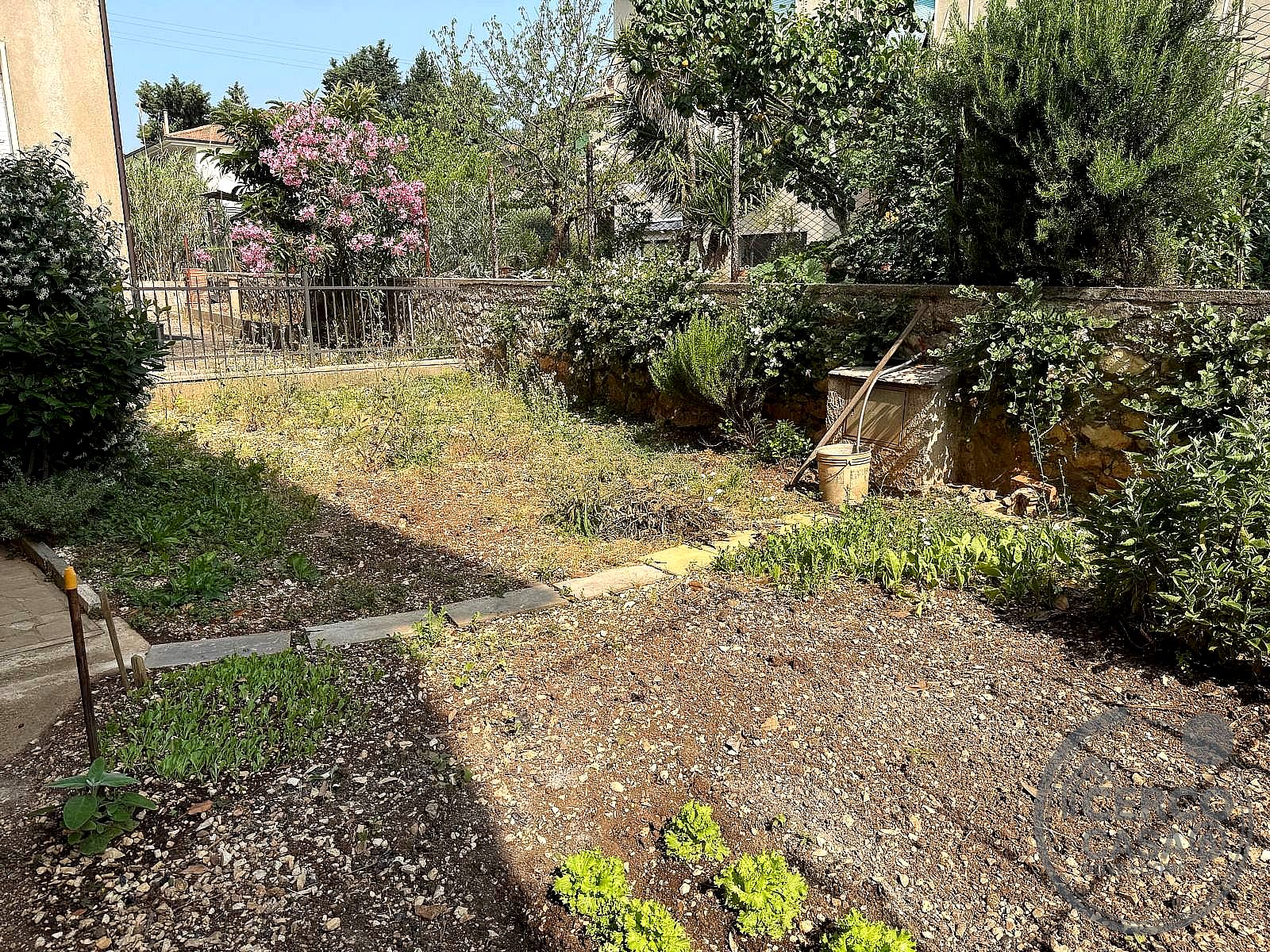 CASA INDIPENDENTE VENDITA TERNI BORGO RIVO · foto 3