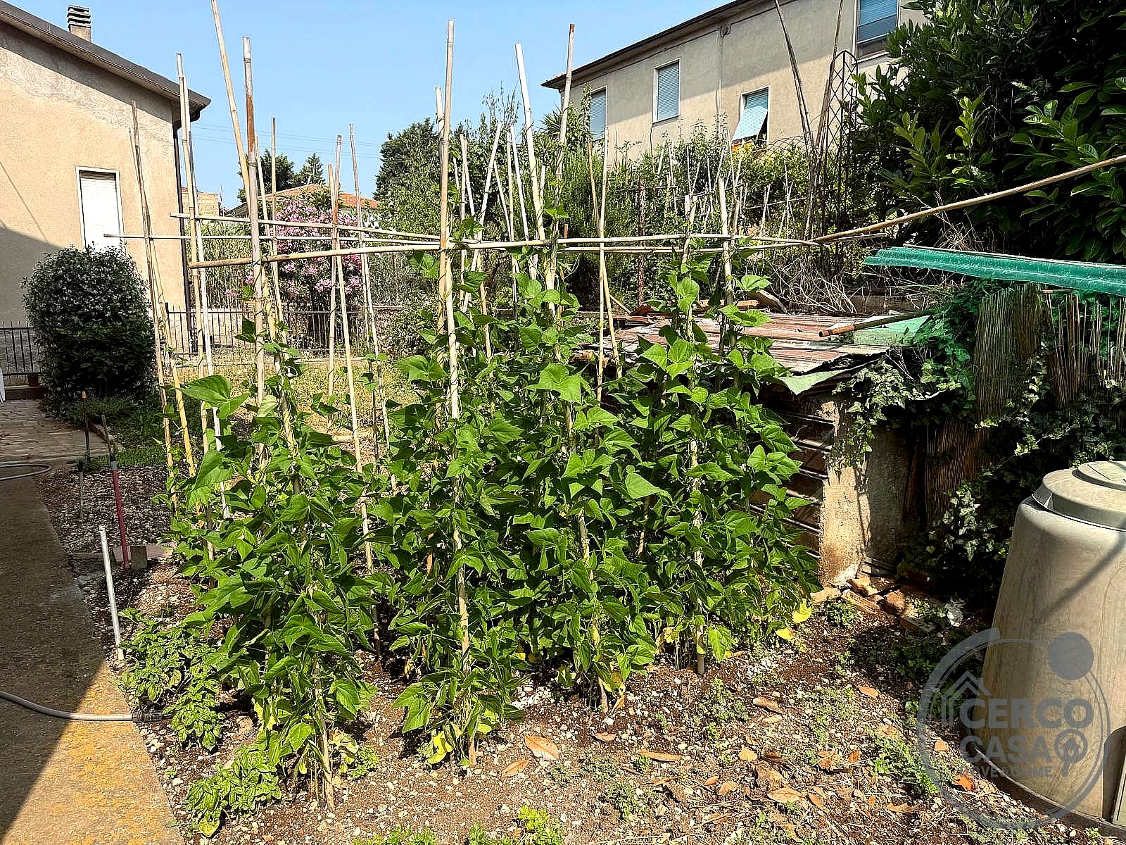 CASA INDIPENDENTE VENDITA TERNI BORGO RIVO · foto 5