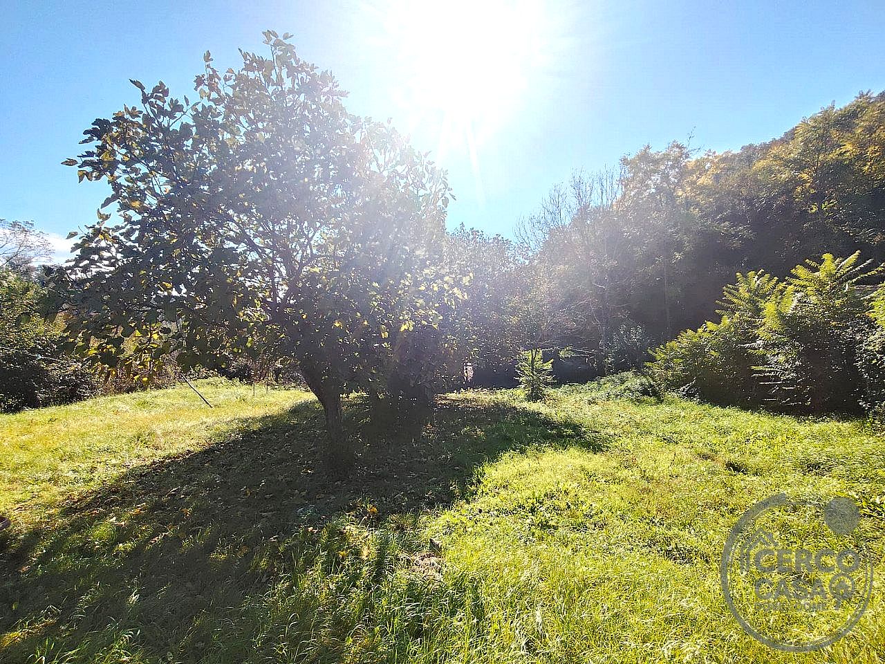 CASA INDIPENDENTE VENDITA TERNI PIEDILUCO · foto 3