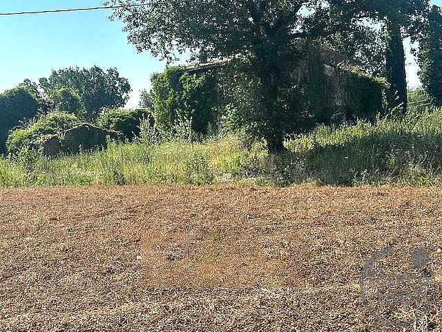 RUSTICO - CASALE VENDITA FRATTA TODINA · foto 6