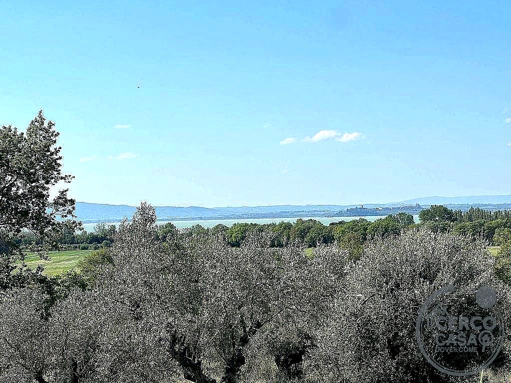TERRENO AGRICOLO VENDITA TUORO SUL TRASIMENO